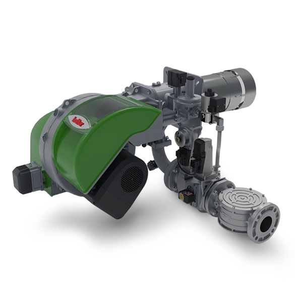 EOGB Products With Shadow Baltur transparent